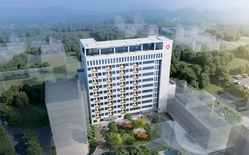 大化县第二人民医院住院综合楼项目